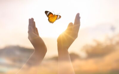 Blooming Slowing: The Soft Life Approach